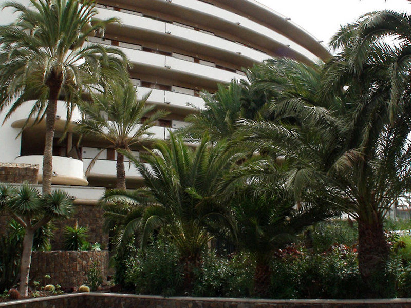 Riu Palace Palmeras プラヤ・デル・イングレス エクステリア 写真